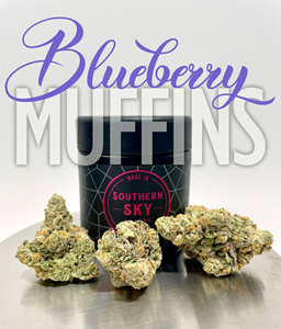 Southern Sky Blueberry Muffins 3.5g