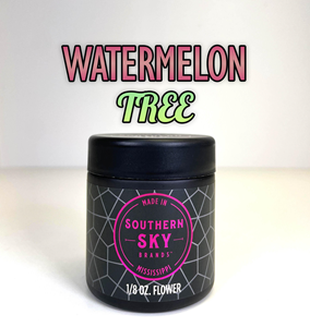 Southern Sky Watermelon Tree 3.5g